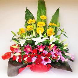 ミックス系 スペシャルアレンジ