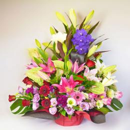 ミックス系 超ゴージャスアレンジ