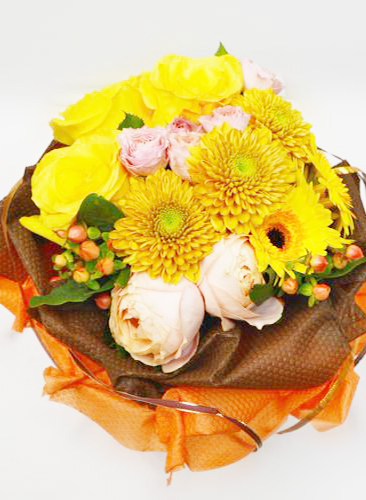 オレンジ・黄色系