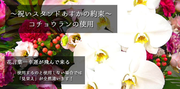 お祝いスタンドあすかの約束 花言葉…幸福が飛んで来る 使用するのと使用しない場合では「見栄え」が全然ちがいます!